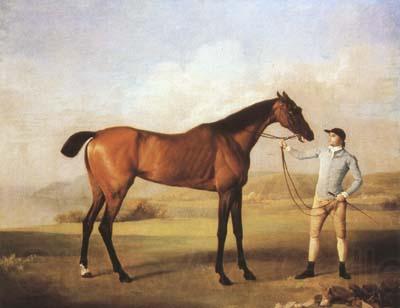 STUBBS, George Molly Longlegs with Jockey (mk08)